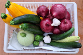 【農薬化学肥料不使用】旬の野菜セット(80サイズ)5品