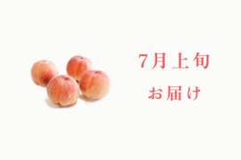【7月上旬お届け】桃好き必見！桃のリレーが楽しめる！季節の【桃】おうち用（もも）お試しセット 約2kg 約5~6玉