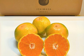 【ゆら早生】箱込み5キロ　Sサイズ ギフトにも！　有田みかん　極早生　低農薬