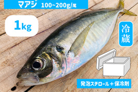 マアジ１ｋｇボックス100~200g/尾【５月～期間限定・水揚げ無くなり次第終了】※下処理なし≪発泡スチロール箱≫