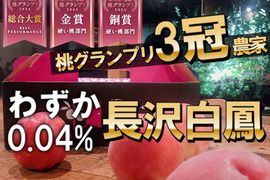🎊全国桃グランプリ3冠小野桃園ブランド🎊市場流通わずか0.04%幻の長沢白鳳🍑一流レストラン御用達1kgお試し特価ももキャンペーン【朝どれ】グランプリ受賞の実力糖度🍑【夏ギフト】