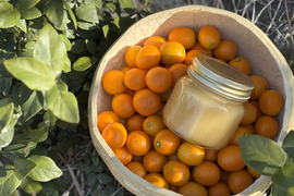 【みつばちの贈り物B】自然のままの金柑とにほんみつばちの蜂蜜のセット