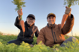 NOUASOBIの冬にんじん（5kg）