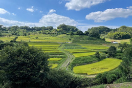 香り豊か　ヒノヒカリ　10kg