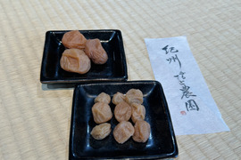 梅農家が作った梅干し食べ比べセット　小梅と南高梅　白干し　無添加