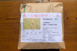 令和4年ササニシキ白米２kg～農薬・化学肥料不使用