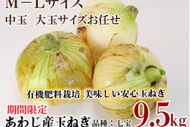 有機肥料栽培 あわじ産 M-Lサイズ 中玉 大玉サイズおまかせ9.5kg 品種：ターザン 加熱すると甘みが増し煮込み料理や炒め物に最適。貯蔵性にも優れており、幅広い料理で活躍。ひょうご安心ブランド認定