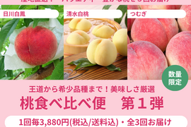 【限定300セット】桃食べ比べ便第１弾※送料込※（食べチョク公式）