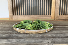 自然栽培のにんにくの芽　2㎏