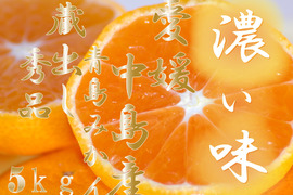 濃厚完熟　蔵出し　青島みかん　秀品・5ｋｇ