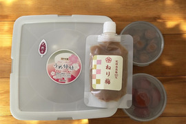 【アワード受賞福袋】 うめちよ無添加梅食べ比べセットM1 (特別栽培認定園の紀州南高梅)