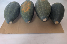 【サラダカボチャ】訳あり　有機JAS認証取得　万次郎生まるごと　４個入（約8.0kg）