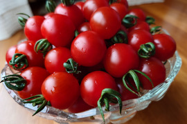 フルーツトマト【ピッコラルージュ】1kg/箱・海藻肥料アルギットによる高糖度と抜群の旨味