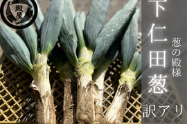 殿様も愛した「下仁田葱」訳アリ24本