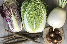 オレンジ白菜が人気!京の旬野菜セット5品目【漢方栽培】