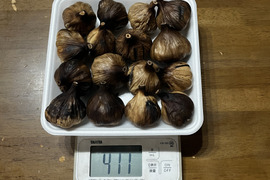 売り切り　お値下げ価格　18 自然栽培　黒にんにく 人気　お試し16個
令和7年度新物　食べやすくて美味しい