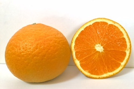 ジューシー清見オレンジ4.5㎏