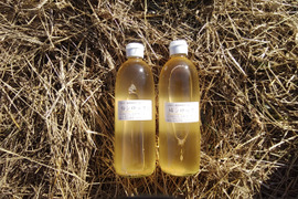 南信州産　農薬肥料不使用の竜峡小梅でつくった梅シロップ　500ml×2本