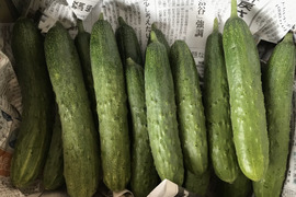 余蒔きゅうり会津丸茄子セット