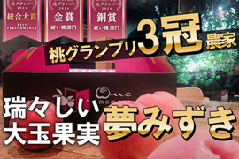 🎊全国桃グランプリ3冠小野桃園ブランド🎊【2026年予約】瑞々しさにうっとりする夢みずき一流レストラン御用達1kgお試し特価ももキャンペーン【朝どれ】
