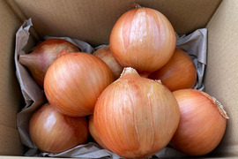 生でも美味しい!甘〜いタマネギ!(2kg)