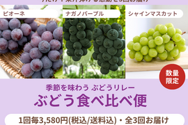 【限定200セット】ぶどう食べ比べ便（食べチョク公式）