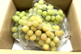 ぶどう農園直送⚠️さま用　vuvvセット こだわりの種ありぶどう詰め合わせセット（大）【2箱】 | 松浦