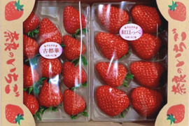 【2箱】古都華&紅ほっぺ【奈良県特産】290g 前後×4パック【御贈答用にも】