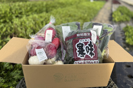 信州をお試し【旬彩野菜】BOX２～3人前　【ゲン担ぎ福袋】新年にぴったり紅白の野菜！カラー大根（紅）＋カブ（白）＋葉物野菜のセット。無施肥栽培・長野県安曇野産