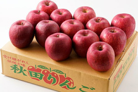 ふじ5キロ　食べ応えある　4Lサイズ　贈答用として、ご褒美として　13玉