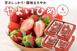 4パック｜とっても甘〜い大粒いちご！ぐんまが誇るやよいひめ！ 合計1kg！