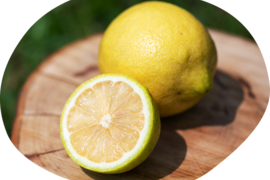 【皮まで食べれる！】完熟レモン(クックユーレカ) 2kg箱詰 -農薬不使用・無肥料・無除草剤-