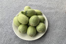 【お漬物に】【数量限定】子メロン（摘果メロン）　４㎏