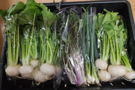 ✨【訳アリ・先着1名様のみ限定販売】農薬・化成肥料不使用の旬のお野菜4品セット✨