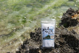 【夏バテ予防に大人気】厳選大粒粗塩(40g)と万能塩200gセット【満月と新月の海水】