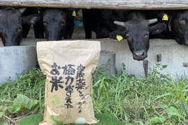 【リオレのレシピ付き】特別栽培米🌾栃木県産令和3年度コシヒカリ🐃（各2キロセット）