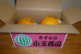 小玉すいか　黄皮赤実　とわ☆ゴールド　２L２玉入