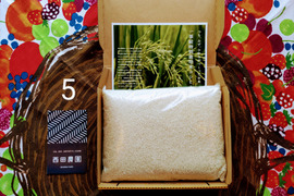 【新米】【メール便】北海道・西日本（近畿を除く）の方向け【5分づき精米 2kg 】特別栽培米コシヒカリ・令和5年産 ・有機・低農薬（80％以上削減）