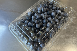 【緊急値引き中！】栽培期間中農薬化学肥料不使用！【生ブルーベリー】500g×2p
【生食用】