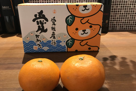 🍊春の柑橘セット🍋【せとか3kg】【イエローレモン1kg】ご家庭用(3kg)