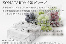 【冷眠】で旬をそのままに！
晴れの国岡山県産
冷凍ぶどう詰め合わせ150g×4p