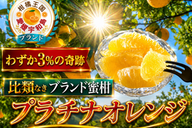 🍊わずか3%の希少な柑橘🍊断崖絶壁で収穫される『幻のプラチナオレンジ』傾斜35度の崖上で収穫される希少な宇和島ブランド【なかなか市場に出回らない贈答用約1.5kg】🍊4月上旬予約🍊