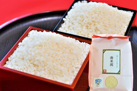 【令和7年産】毎日5合なら約26日分！茨城県産コシヒカリ寿米流（すまいる）20kg（5kg×4袋）