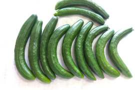 むくさんリクエスト専用サイト
訳アリ長ナス１ＫＧ・訳アリキュウリ１．５Ｋｇ・フルーツトマト５００ｇ
８月１２日着　ご指定
夏の猛暑続きでリクエストの半分以下のご提案ですがご容赦ください