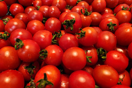 ステラミニトマト1kg 【甘くて美味しい貴重な固定種🍅】