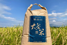 【令和7年新米】あきたこまち精米 9kg 「大谷米」 もっちり甘い 単一農家米100%！