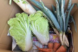 鍋に最適！　固定種の野菜セット12月 (師走)