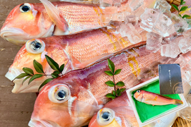 【一尾で味わう】上品でやさしい甘みの甘鯛（３尾）