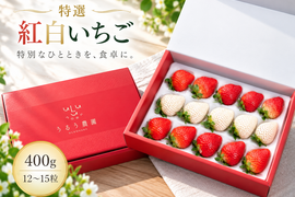 【予約販売 2026年11月下旬～順次発送】紅白特選あまおう 400ｇ ギフト お歳暮