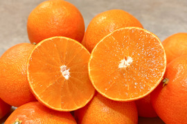 【初売り50セット限定】完熟ハウス 福まどんな《ご家庭用 2kg》｜Sサイズ｜愛媛・西宇和産